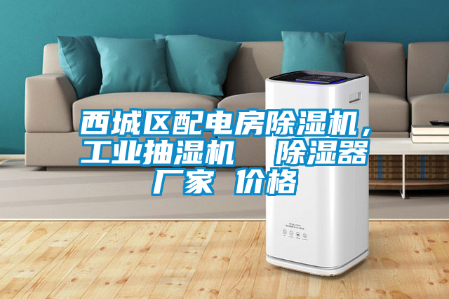 西城區配電房除濕機,工業抽濕機  除濕器廠家 價格