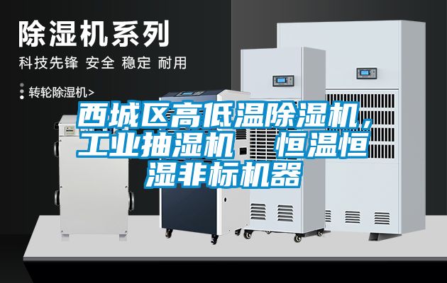 西城區高低溫除濕機,工業抽濕機  恒溫恒濕非標機器