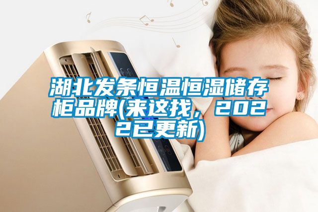 湖北發(fā)條恒溫恒濕儲存柜品牌(來這找,2022已更新)