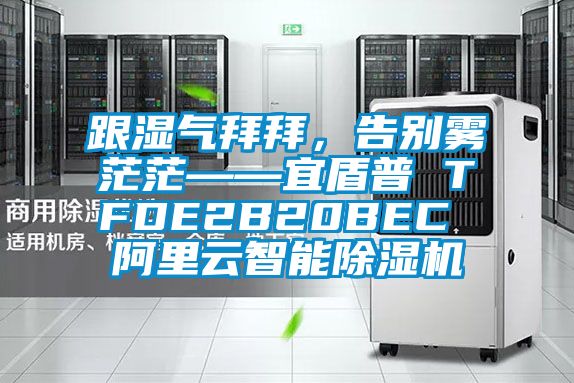 跟濕氣拜拜，告別霧茫茫——宜盾普 TFDE2B20BEC 阿里云智能除濕機(jī)