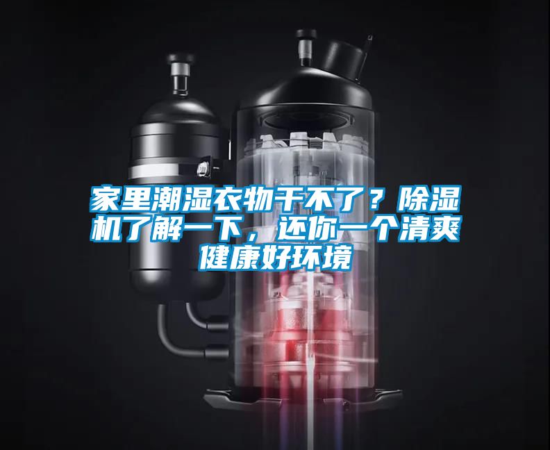 家里潮濕衣物干不了?除濕機(jī)了解一下,還你一個(gè)清爽健康好環(huán)境