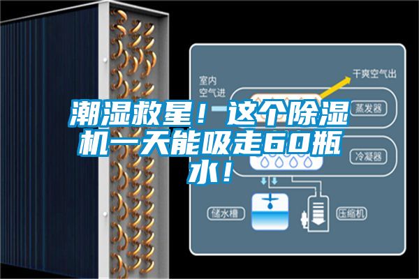 潮濕救星！這個除濕機一天能吸走60瓶水！