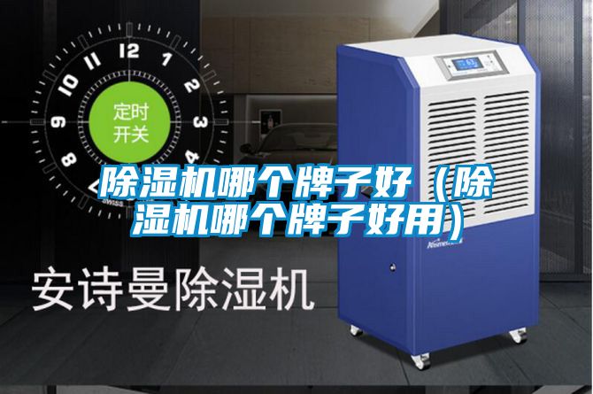 除濕機哪個牌子好(除濕機哪個牌子好用)