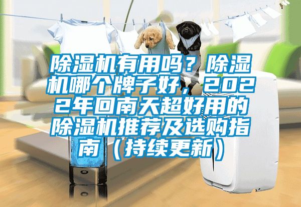 除濕機(jī)有用嗎?除濕機(jī)哪個(gè)牌子好,2022年回南天超好用的除濕機(jī)推薦及選購指南(持續(xù)更新)