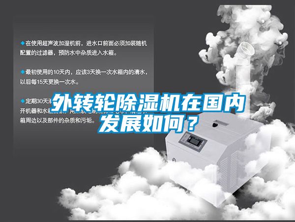 外轉(zhuǎn)輪除濕機(jī)在國內(nèi)發(fā)展如何?