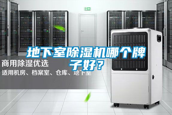 地下室除濕機(jī)哪個(gè)牌子好?