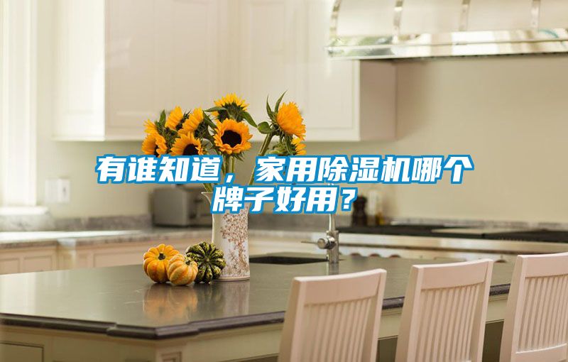 有誰知道，家用除濕機(jī)哪個(gè)牌子好用？