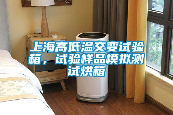 上海高低溫交變試驗(yàn)箱,試驗(yàn)樣品模擬測試烘箱