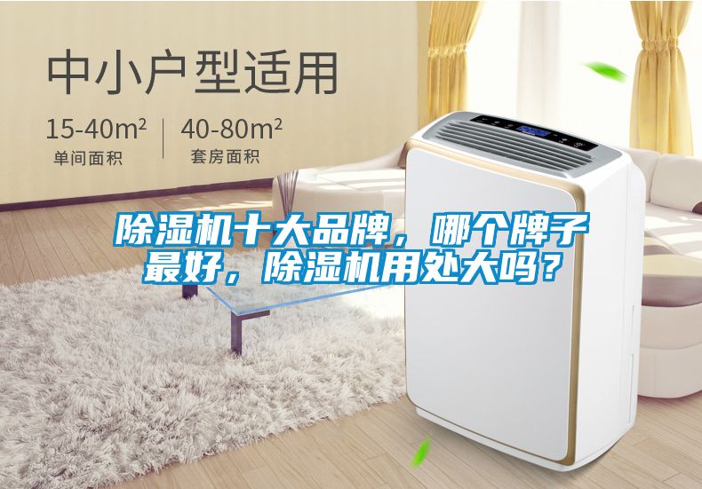 除濕機(jī)十大品牌,哪個牌子最好,除濕機(jī)用處大嗎?