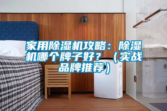 家用除濕機攻略:除濕機哪個牌子好?(實戰品牌推薦)
