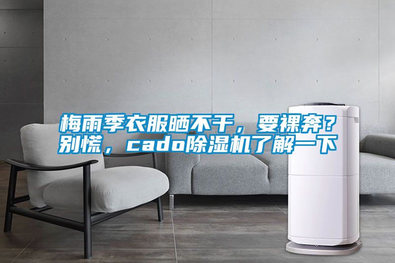 梅雨季衣服曬不干，要裸奔？別慌，cado除濕機了解一下