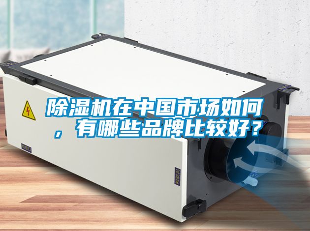 除濕機(jī)在中國(guó)市場(chǎng)如何，有哪些品牌比較好？