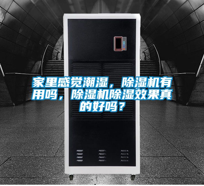 家里感覺潮濕,除濕機有用嗎,除濕機除濕效果真的好嗎?