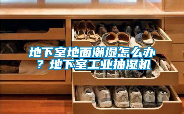 地下室地面潮濕怎么辦?地下室工業抽濕機