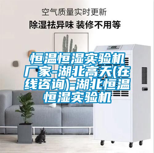 恒溫恒濕實(shí)驗機(jī)廠家-湖北高天(在線咨詢)-湖北恒溫恒濕實(shí)驗機(jī)