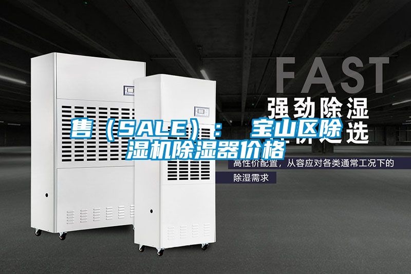 售(SALE): 寶山區除濕機除濕器價格