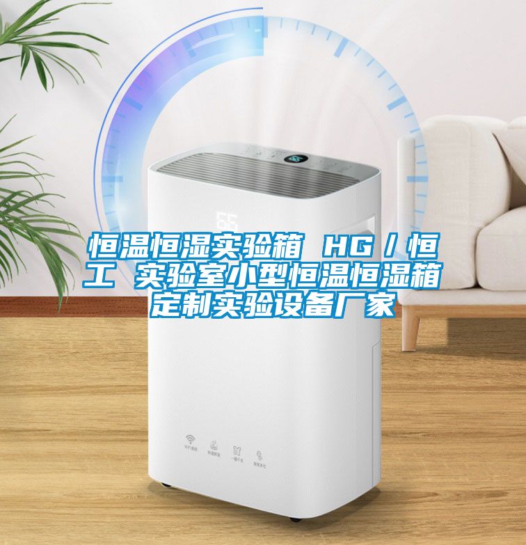 恒溫恒濕實驗箱 HG/恒工 實驗室小型恒溫恒濕箱 定制實驗設備廠家