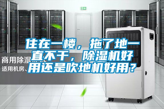 住在一樓，拖了地一直不干，除濕機好用還是吹地機好用？