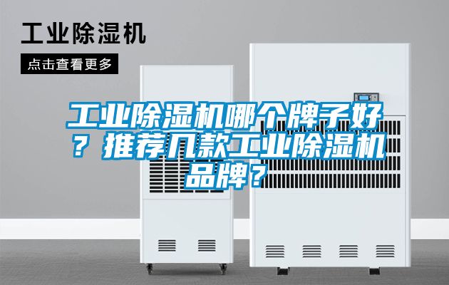 工業除濕機哪個牌子好?推薦幾款工業除濕機品牌?
