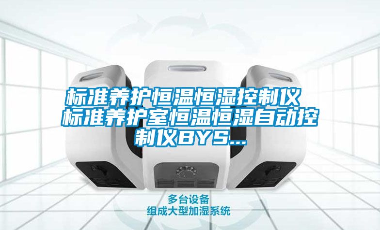 標(biāo)準(zhǔn)養(yǎng)護恒溫恒濕控制儀 標(biāo)準(zhǔn)養(yǎng)護室恒溫恒濕自動控制儀BYS...