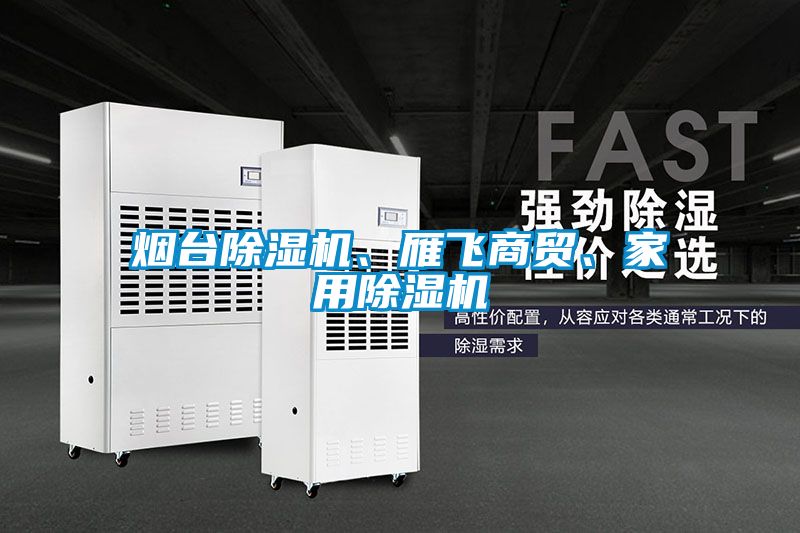 煙臺除濕機(jī)、雁飛商貿(mào)、家用除濕機(jī)