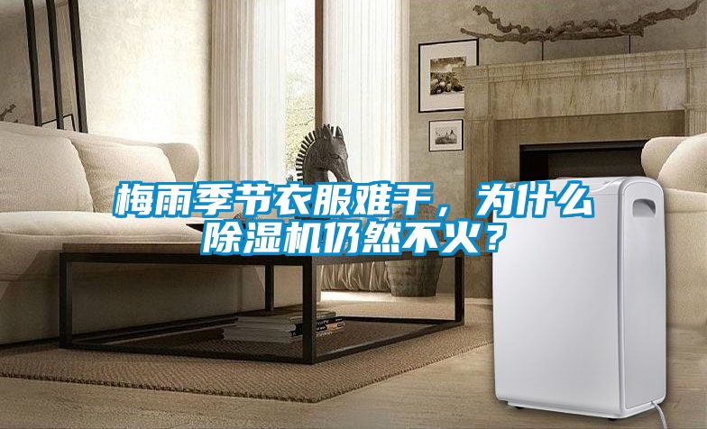 梅雨季節(jié)衣服難干,為什么除濕機(jī)仍然不火?