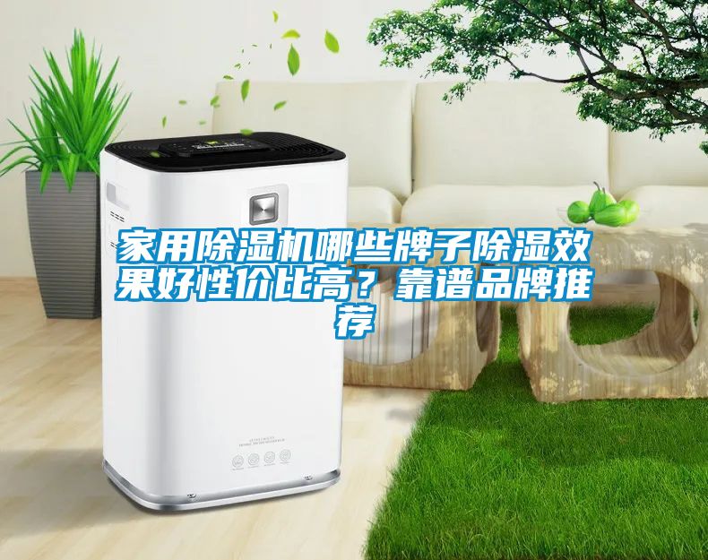 家用除濕機哪些牌子除濕效果好性價比高？靠譜品牌推薦