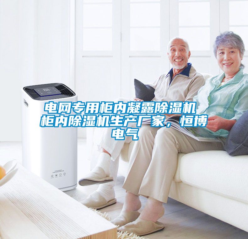 電網(wǎng)專用柜內凝露除濕機 柜內除濕機生產(chǎn)廠家,恒博電氣