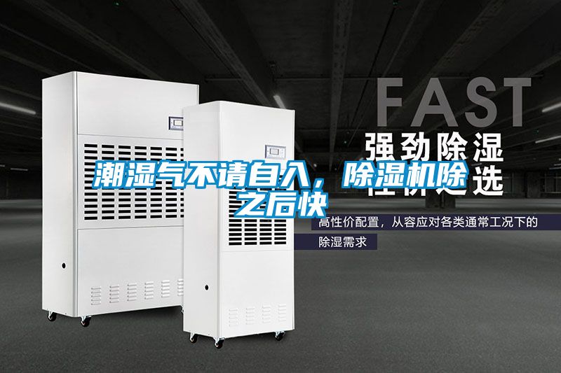 潮濕氣不請自入,除濕機除之后快