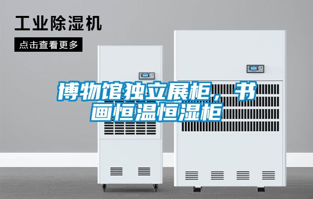 博物館獨立展柜，書畫恒溫恒濕柜