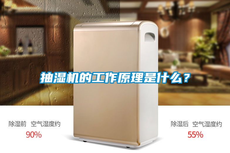 抽濕機(jī)的工作原理是什么？
