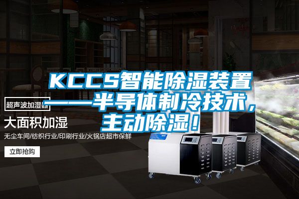 KCCS智能除濕裝置——半導體制冷技術,主動除濕!