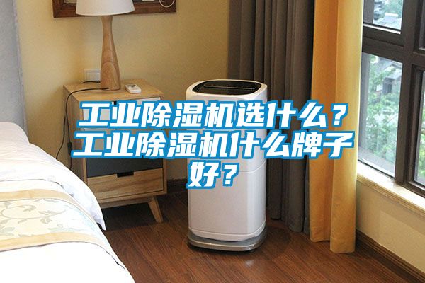 工業除濕機選什么？工業除濕機什么牌子好？